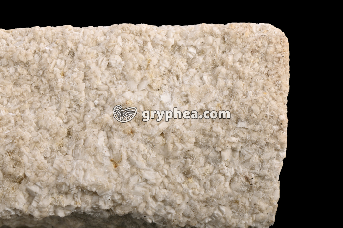 Entroquite - gryphea.org